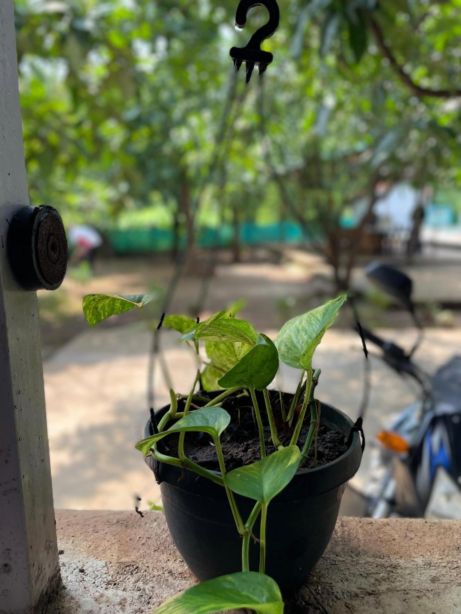 Riverland Farm And Resort Karjat Extérieur photo